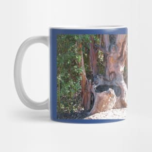 If trees could talk Mug